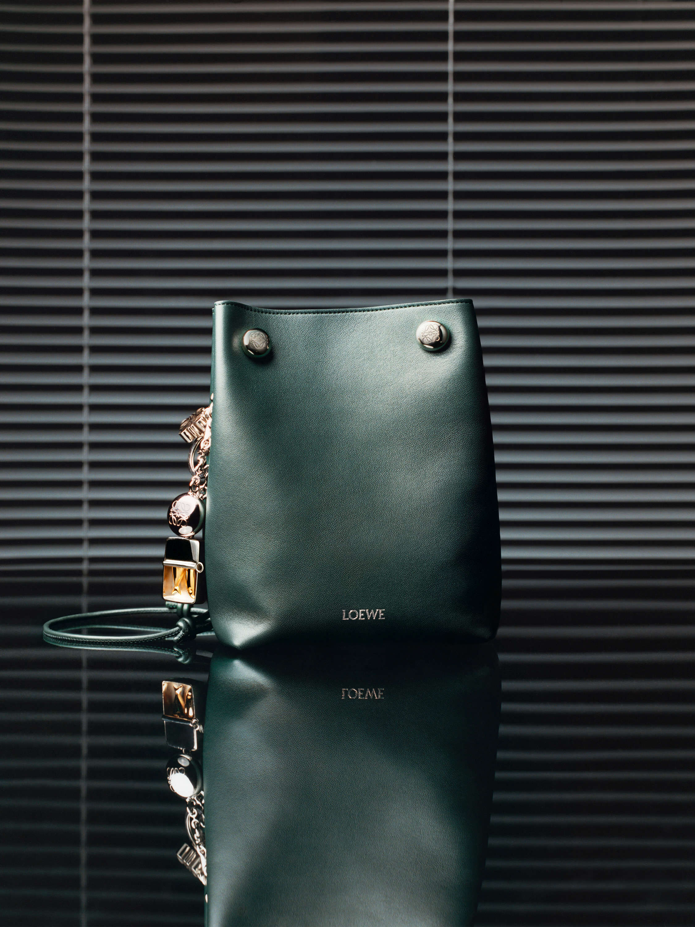 ウィメンズ ラグジュアリーポーチ＆クラッチ - LOEWE